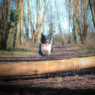 PJ Photographie, Photographe à Salomé