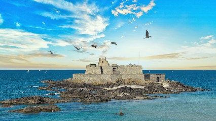 Taison Services Photographie, Développement de Photos à Saint-James