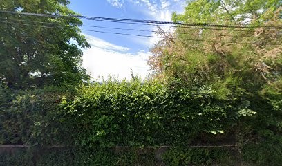 Sciencedesmotifs, Photographe à Herblay