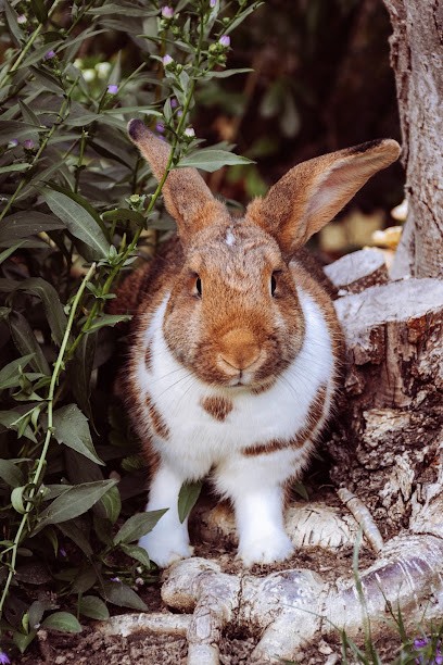 Pauline Huyet Photographe - Photographe Mariage - Portrait - Evènements, Photographe à Trilport