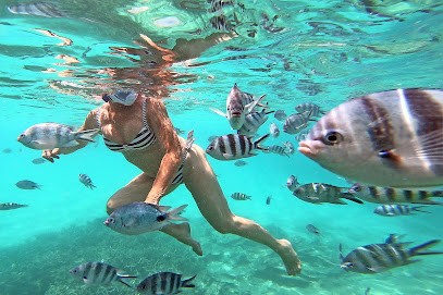 CECCALDI PHOTOGRAPHE, Photographe à Marseille 13