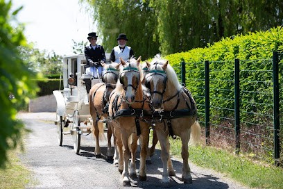Dé’ Clic Photo, Photographe à Halloy
