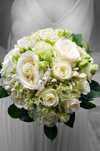 Carine Piffault, Photographe à Plouay